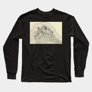 Mother and baby Lion Long Sleeve T-Shirt